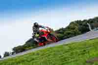 motorbikes;no-limits;november-2022;peter-wileman-photography;portimao;portugal;trackday-digital-images